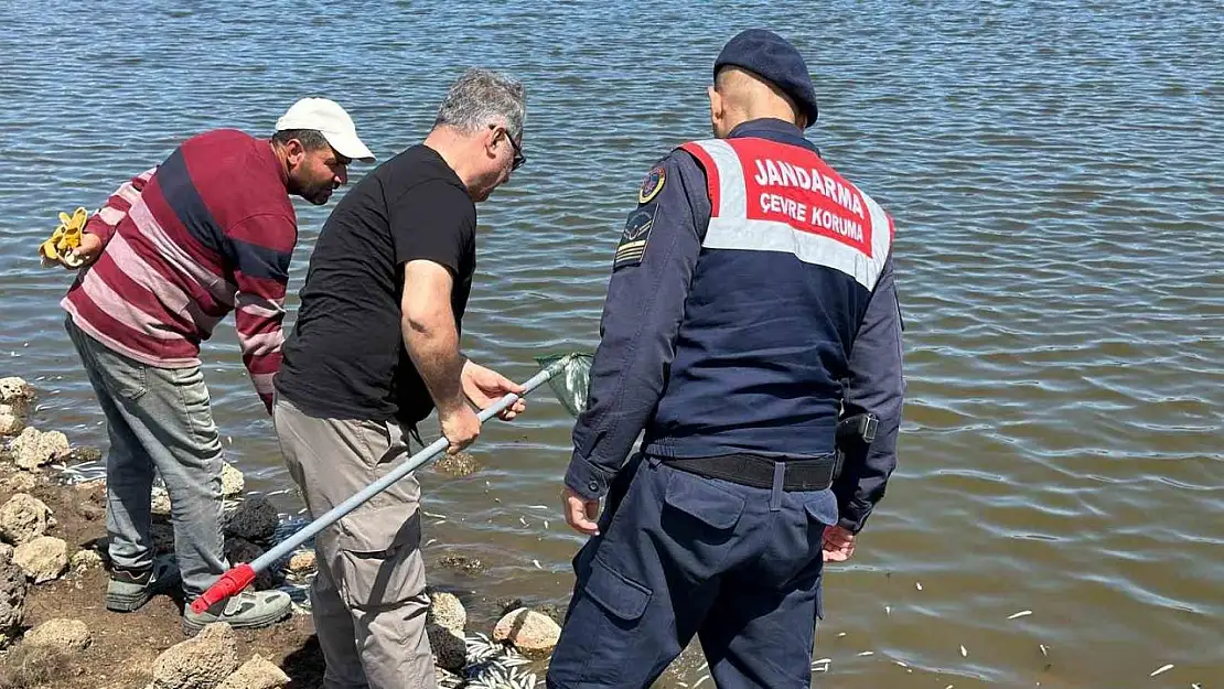 Diyarbakır'da göletteki balık ölümlerine inceleme