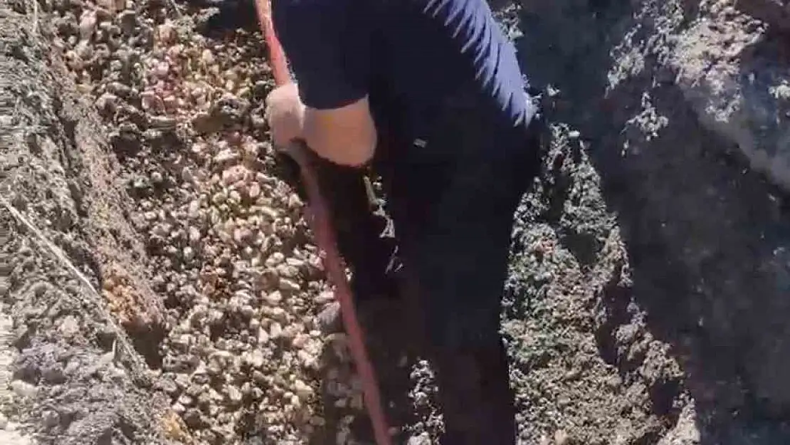 Diyarbakır'da kanalizasyon borusunda mahsur kalan kuzu böyle kurtarıldı