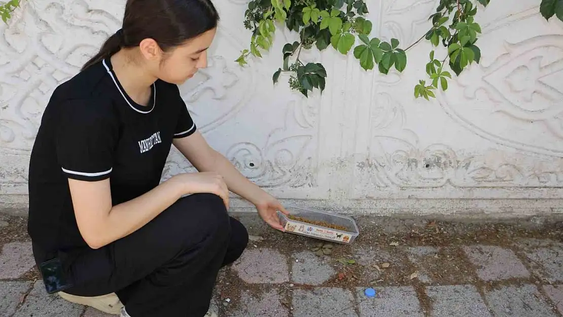 Diyarbakır'ın kavurucu sıcağında sokak hayvanları unutulmadı