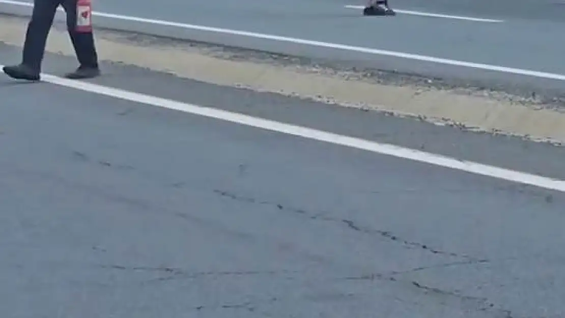 Elazığ'da seyir halindeki kamyon alev aldı