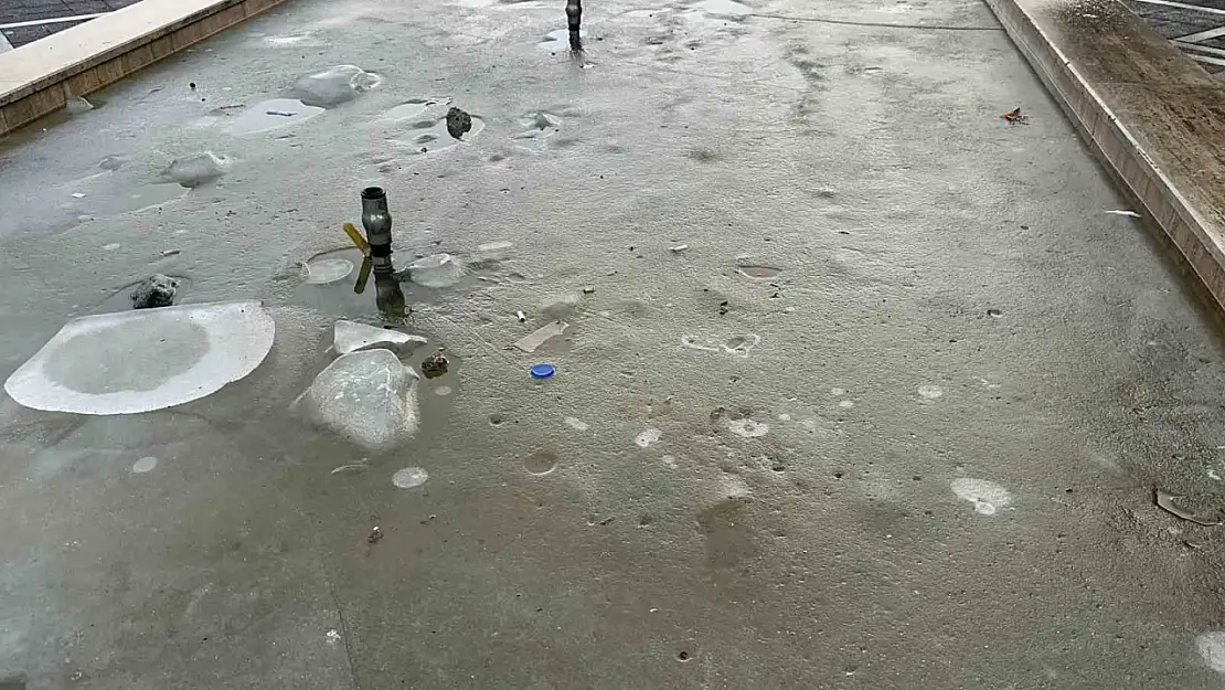 Elazığ'da soğuk hava ve don etkili oldu, süs havuzları buz tuttu