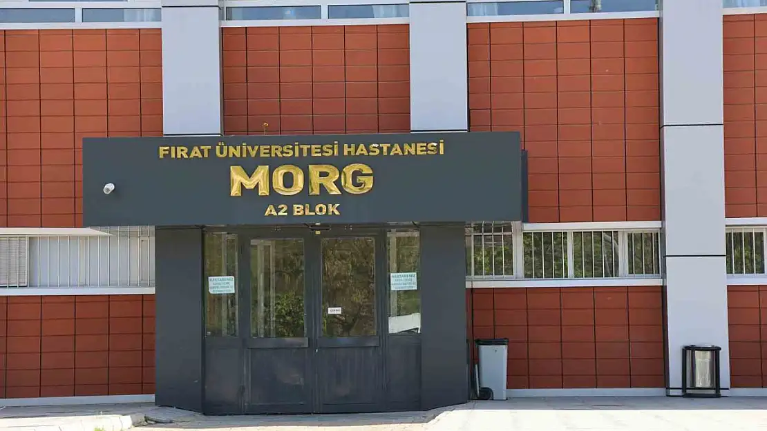 Elazığ'da uçurumdan düşen genç hayatını kaybetti