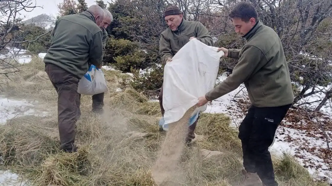 Elazığ'da yaban hayvanları için doğaya yem bırakıldı