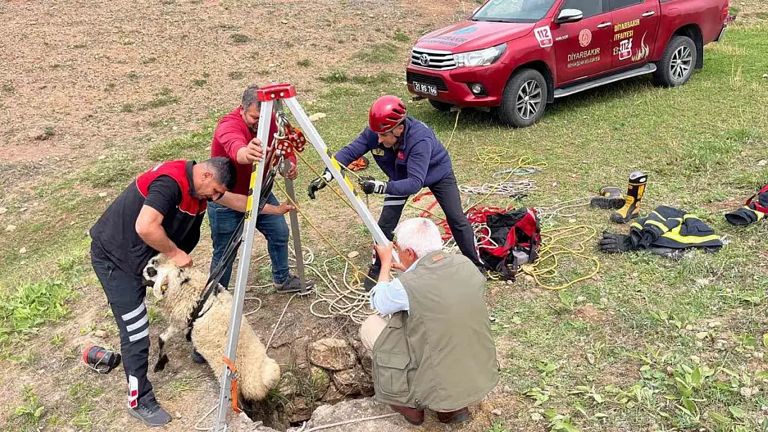İtfaiye ekipleri kuyuya düşen koyunu kurtardı