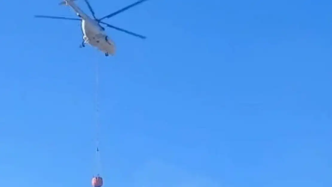 Malatya'daki orman yangını kontrol altına alındı