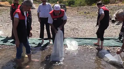 Elazığ'daki su kaynaklarına 5 milyon 786 bin yavru sazan bırakılacak