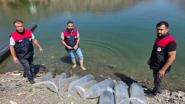 Beyhan Baraj Gölü'ne 50 bin yavru balık bırakıldı