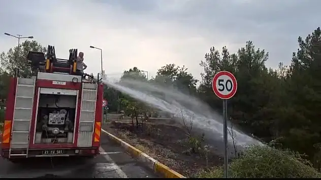 Dicle Üniversitesi'ndeki örtü yangını söndürüldü