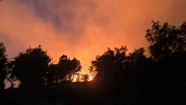 Diyarbakır'da ormanlık alanda çıkan yangın söndürüldü