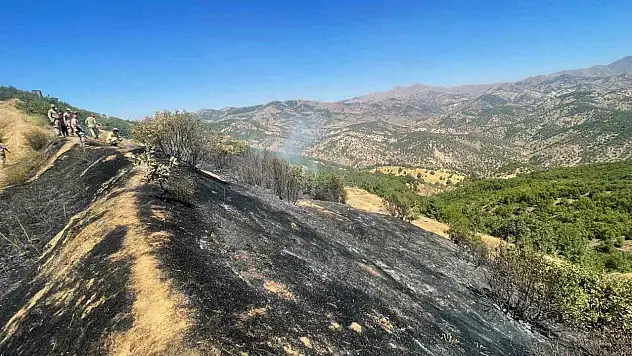 Diyarbakır'da üç farklı noktada çıkan yangınlar kontrol altına alındı