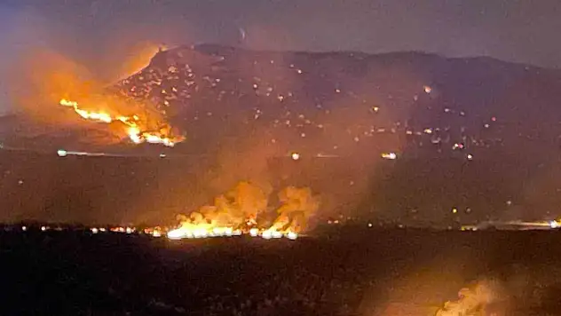 Diyarbakır'ın 2 ilçesinde çıkan yangın söndürüldü