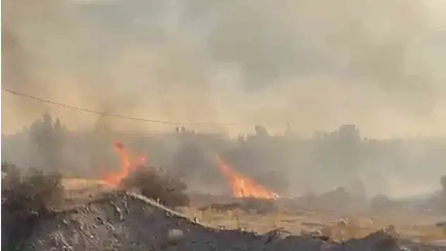 Elazığ'da örtü yangını söndürüldü