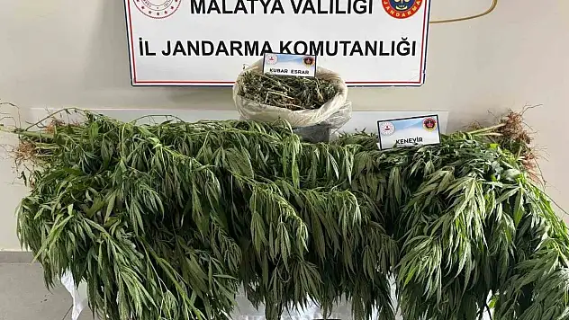 Malatya'da jandarmadan uyuşturucu operasyonu