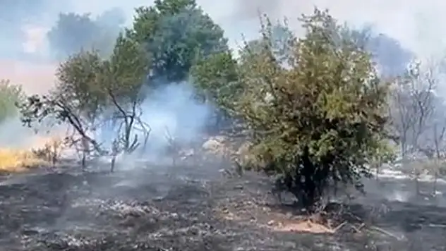 Malatya'da orman yangını