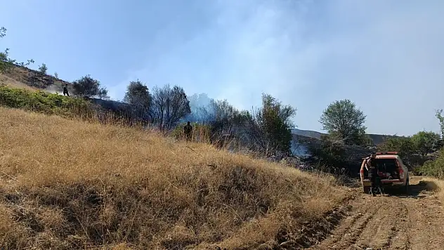 Malatya'daki orman yangını kontrol altına alındı