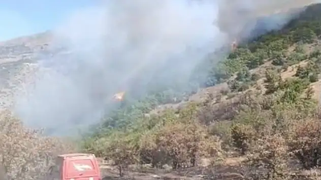 Malatya'daki orman yangını söndürüldü