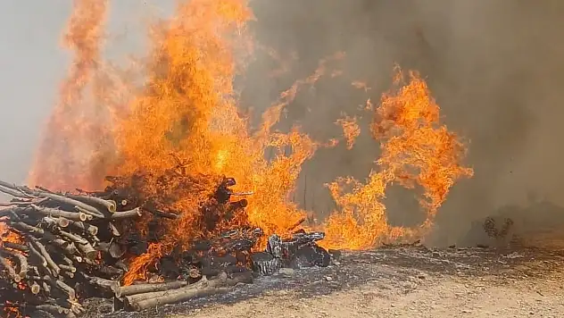 Malatya'nın Doğanyol ilçesinde orman yangını