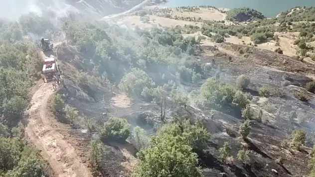 Ormanlık alanda çıkan yangın büyümeden söndürüldü