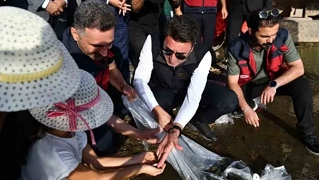Tunceli'de 850 bin adet balık suyla buluşturuldu