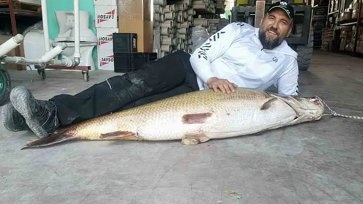 1 buçuk metrelik balık oltaya takıldı