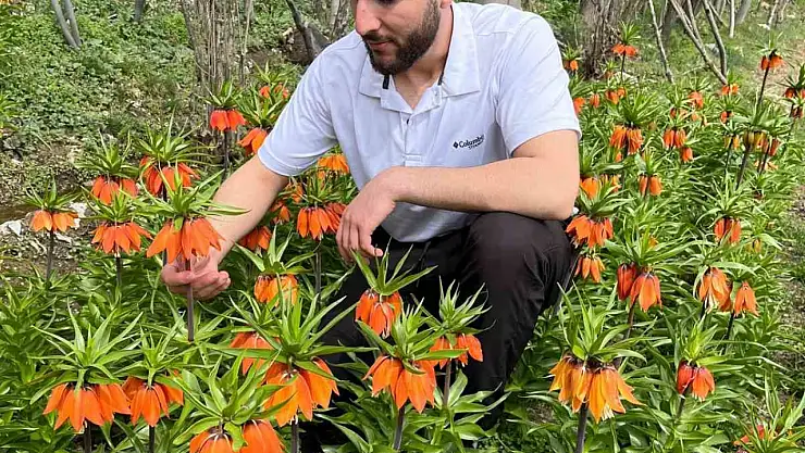 20 günlük ömrü var, zarar vermenin cezası 244 bin lira