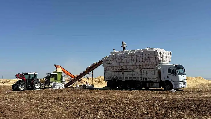 45 derece hissedilen sıcak havada saman yüklüyorlar