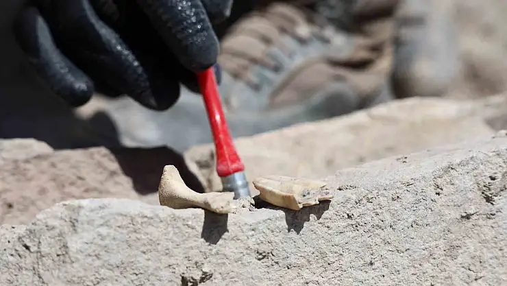 6 bin yıllık tapınaktan sonra Tadım Kalesi'nde insan ve hayvan kemikleri ortaya çıktı