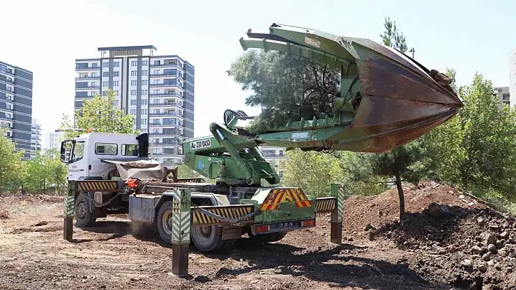 Ağaçlar zarar verilmeden ormanlık alana taşındı