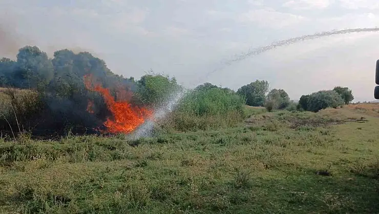 Ağaçlık alanda çıkan yangın itfaiye ekiplerince söndürüldü