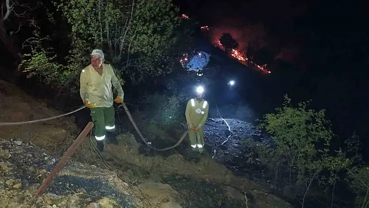 Ahır ve samanlıkta çıkan yangın ormanlık alana sıçradı, müdahale sürüyor