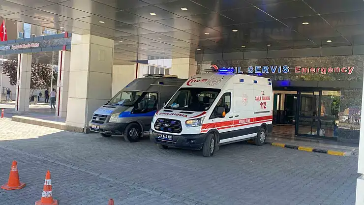 Ahırda süt sağan kadını kene ısırdı