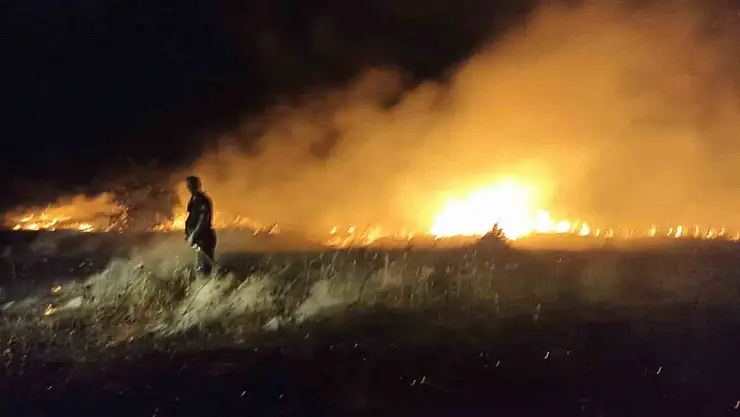 Akçadağ'da bahçe ve sazlık yangını: 25 Kayısı ağacı zarar gördü