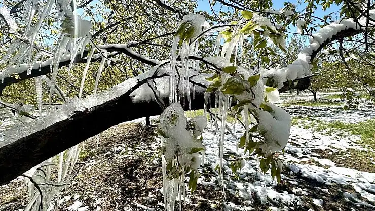 Akçin: 'Bu sadece bir ürün kaybı değil, ekonomik ve sosyal krizdir'