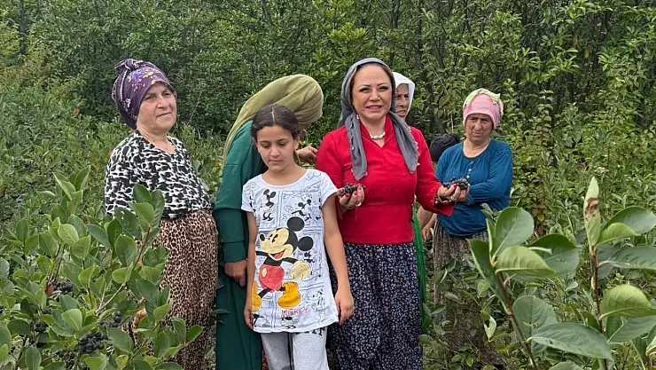 Aronya Akçaabat'tan dünyaya açılıyor