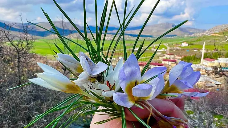 Baharın ahengi göz kamaştırdı