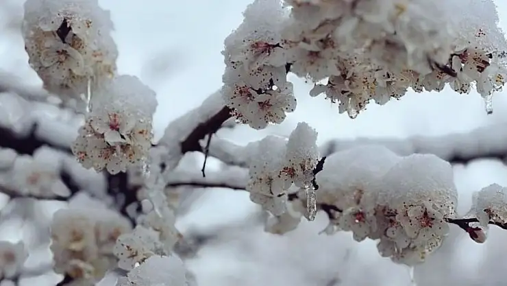 Başkan Er: 'Gönlümüzü yakan bir manzarayla karşı karşıyayız'