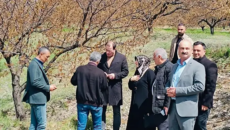Baskil'de dondan etkilenen meyve bahçelerinde inceleme