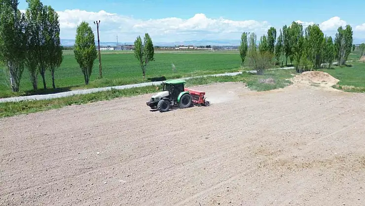 Battalgazi Belediyesi'nden yeşil alanda üretim hamlesi