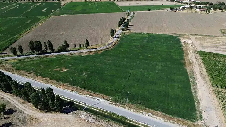 Battalgazi'de yerli üretimle yeşil alan seferberliği