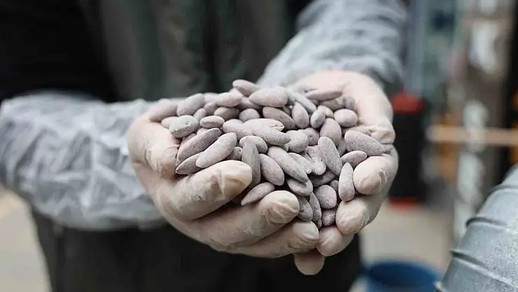 Bayram sofralarının vazgeçilmezi 'beyaz altın' için kazanlar dönmeye başladı