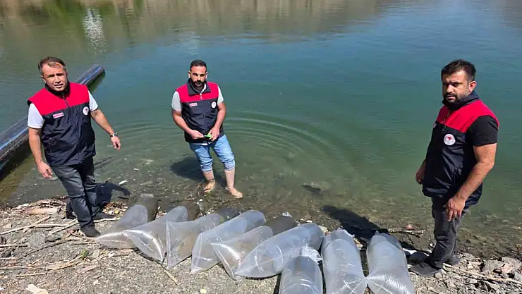 Beyhan Baraj Gölü'ne 50 bin yavru balık bırakıldı
