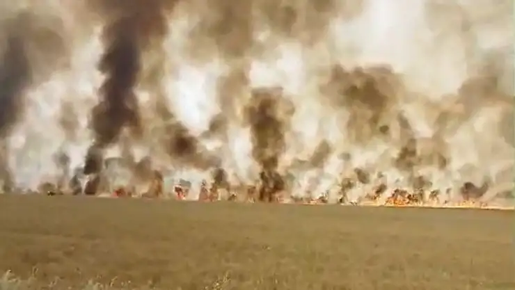 Biçerdöver patozuna giren tel yangına neden oldu, biçilmemiş buğday kül oldu