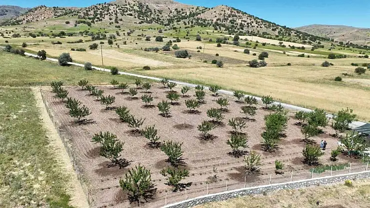 Büyükşehir Belediyesi'nden çiftçilere büyük destek