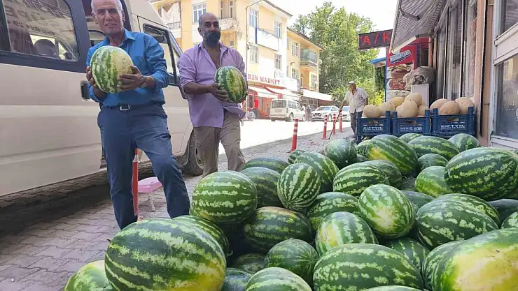 Çemişgezek'te 'Hıdıroz' karpuzu tezgahlardaki yerini aldı