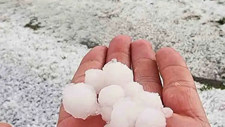 Ceviz büyüklüğünde yağdı, meyve ağaçları zarar gördü