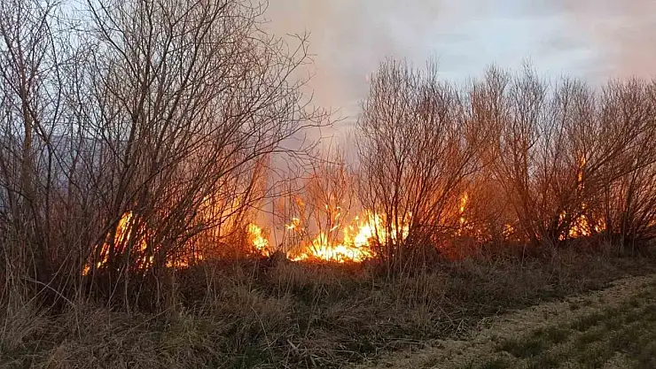 Darende'de iki farklı noktada bahçe yangını