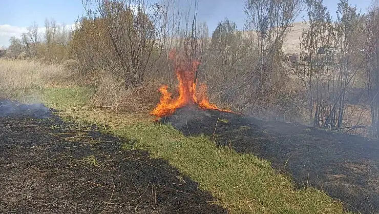 Darende'de sazlık yangını