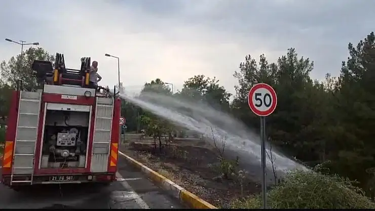 Dicle Üniversitesi'ndeki örtü yangını söndürüldü