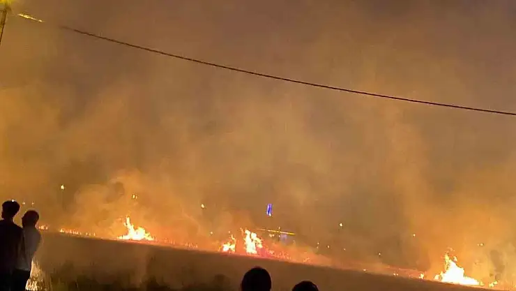 Diyarbakır'da 40 dönüm buğday yangında küle döndü