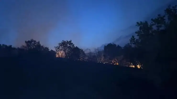 Diyarbakır'da ağaçlık alanda korkutan yangın: Alevlerin yaklaştığı ev tahliye edildi